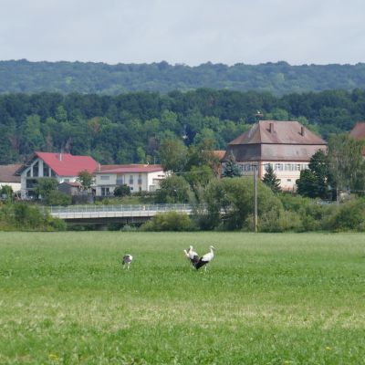 032 Kurz vor Zell
